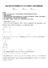 黑龙江省齐齐哈尔市昂昂溪区2023-2024学年数学八上期末考试模拟试题含答案