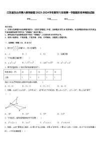 江苏省东台市第六教育联盟2023-2024学年数学八年级第一学期期末统考模拟试题含答案