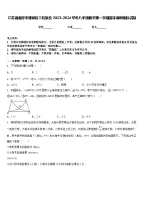 江苏省南京市建邺区三校联合2023-2024学年八年级数学第一学期期末调研模拟试题含答案