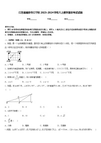 江苏省南京市江宁区2023-2024学年八上数学期末考试试题含答案