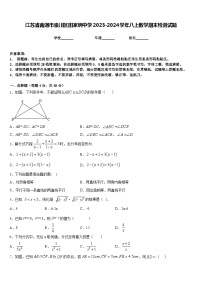 江苏省南通市崇川区田家炳中学2023-2024学年八上数学期末检测试题含答案