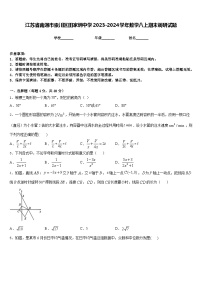 江苏省南通市崇川区田家炳中学2023-2024学年数学八上期末调研试题含答案