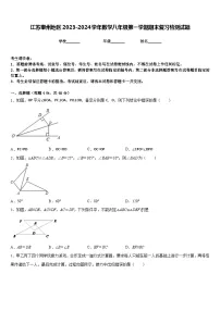 江苏泰州地区2023-2024学年数学八年级第一学期期末复习检测试题含答案
