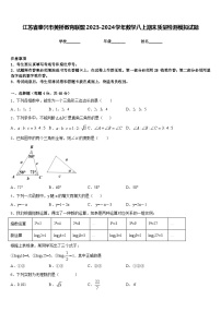 江苏省泰兴市黄桥教育联盟2023-2024学年数学八上期末质量检测模拟试题含答案