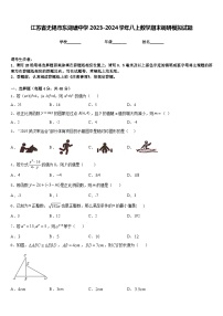 江苏省无锡市东湖塘中学2023-2024学年八上数学期末调研模拟试题含答案