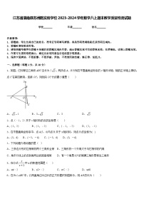 江苏省灌南县苏州路实验学校2023-2024学年数学八上期末教学质量检测试题含答案