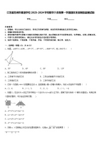 江苏省苏州市星港学校2023-2024学年数学八年级第一学期期末质量跟踪监视试题含答案