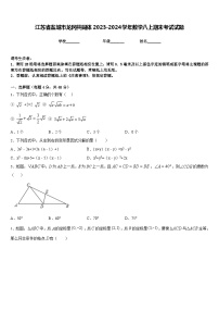 江苏省盐城市龙冈共同体2023-2024学年数学八上期末考试试题含答案