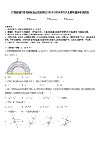 江苏省镇江市润州区金山实验学校2023-2024学年八上数学期末考试试题含答案