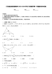 江苏省盐城射阳县联考2023-2024学年八年级数学第一学期期末统考试题含答案