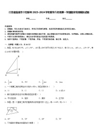 江苏省盐城市十校联考2023-2024学年数学八年级第一学期期末检测模拟试题含答案