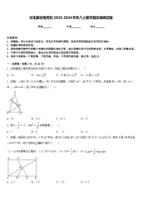 河北保定竞秀区2023-2024学年八上数学期末调研试题含答案