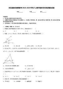 河北省保定唐县联考2023-2024学年八上数学期末综合测试模拟试题含答案