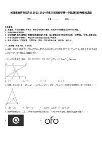 河北省廊坊市安次区2023-2024学年八年级数学第一学期期末联考模拟试题含答案