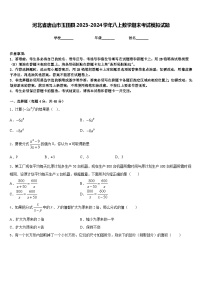 河北省唐山市玉田县2023-2024学年八上数学期末考试模拟试题含答案