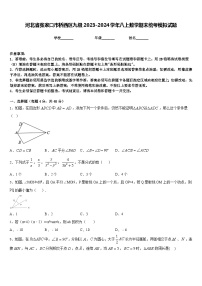 河北省张家口市桥西区九级2023-2024学年八上数学期末统考模拟试题含答案