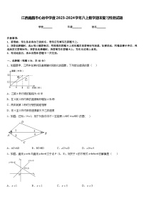 江西南昌市心远中学度2023-2024学年八上数学期末复习检测试题含答案