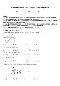 河北省沧州市黄骅市2023-2024学年八上数学期末经典试题含答案