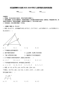 河北省邯郸市大名县2023-2024学年八上数学期末达标检测试题含答案