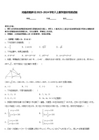 河南洛阳伊川2023-2024学年八上数学期末检测试题含答案