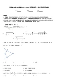 河南省安阳市内黄县2023-2024学年数学八上期末达标测试试题含答案