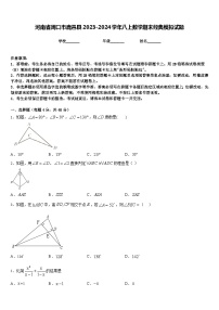 河南省周口市鹿邑县2023-2024学年八上数学期末经典模拟试题含答案