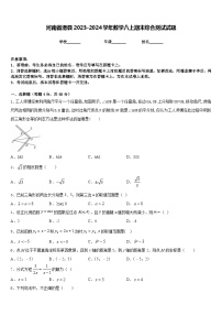 河南省滑县2023-2024学年数学八上期末综合测试试题含答案