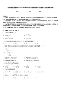 河南省濮阳市县2023-2024学年八年级数学第一学期期末经典模拟试题含答案