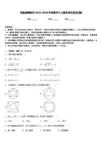 河南省舞钢市2023-2024学年数学八上期末综合测试试题含答案