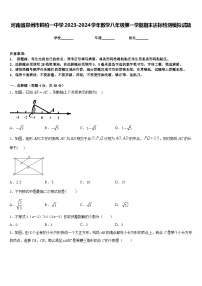 河南省郑州市桐柏一中学2023-2024学年数学八年级第一学期期末达标检测模拟试题含答案