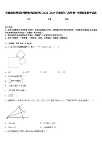 河南省郑州市郑州枫杨外国语学校2023-2024学年数学八年级第一学期期末联考试题含答案