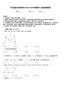 浙江省嘉兴市秀洲片区2023-2024学年数学八上期末调研试题含答案