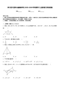 浙江嘉兴北师大南湖附学校2023-2024学年数学八上期末复习检测试题含答案