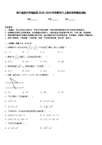 浙江省嘉兴市海盐县2023-2024学年数学八上期末统考模拟试题含答案