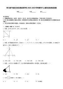 浙江省宁波北仑区东海实验学校2023-2024学年数学八上期末达标测试试题含答案