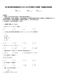 浙江省乐清市育英寄宿学校2023-2024学年数学八年级第一学期期末预测试题含答案