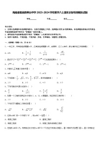 海南省临高县美台中学2023-2024学年数学八上期末达标检测模拟试题含答案