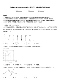 海南省三亚市2023-2024学年数学八上期末教学质量检测试题含答案