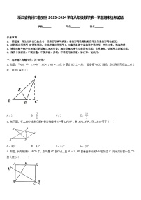 浙江省杭州市临安区2023-2024学年八年级数学第一学期期末统考试题含答案