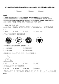 浙江省杭州市西湖区杭州外国语学校2023-2024学年数学八上期末统考模拟试题含答案