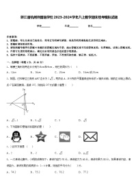 浙江省杭州外国语学校2023-2024学年八上数学期末统考模拟试题含答案