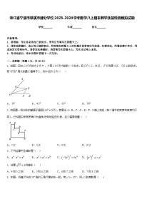 浙江省宁波市慈溪市部分学校2023-2024学年数学八上期末教学质量检测模拟试题含答案