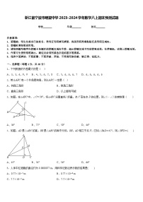 浙江省宁波市明望中学2023-2024学年数学八上期末预测试题含答案