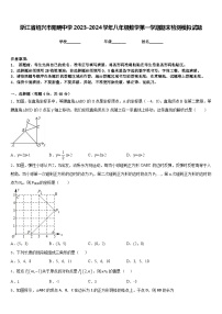 浙江省绍兴市阳明中学2023-2024学年八年级数学第一学期期末检测模拟试题含答案