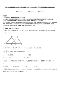 浙江省温州瑞安市新纪元实验学校2023-2024学年八上数学期末监测模拟试题含答案