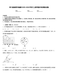 浙江省温州市苍南县2023-2024学年八上数学期末考试模拟试题含答案