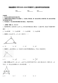 海南省儋州三中学2023-2024学年数学八上期末教学质量检测试题含答案