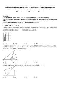 海南省琼中学黎族苗族自治县2023-2024学年数学八上期末达标检测模拟试题含答案