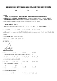 湖北省武汉市部分重点学校2023-2024学年八上数学期末教学质量检测试题含答案