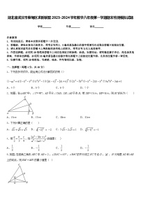 湖北省武汉市蔡甸区求新联盟2023-2024学年数学八年级第一学期期末检测模拟试题含答案